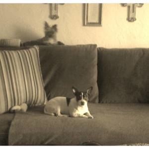 Meet your Posher, Anne marie